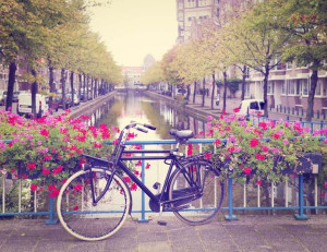 Amsterdam Wiosną Rower wśród Kwiatów - plakat 50x4