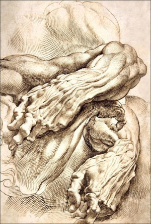 Anatomical Studies a left forearm in two positions