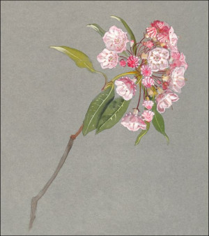 A Bough of Mountain Laurel, Samuel Colman - plakat
