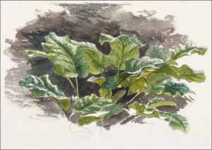 Botanical Study, Samuel Colman - plakat 59,4x42 cm