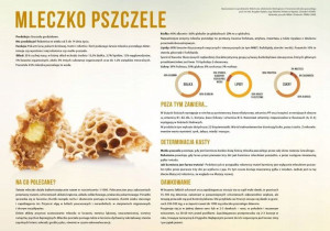 Tablica DUŻA XL edukacyjna MLECZPO PSZCZELE F253