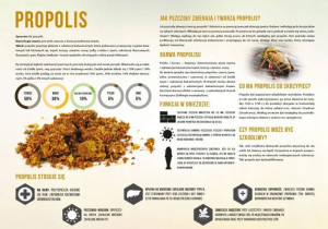 Tablica DUŻA XXL edukacyjna PROPOLIS F352