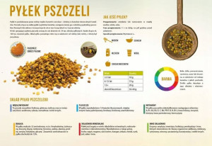 Tablica DUŻA XXL edukacyjna PYŁEK PSZCZELI F351