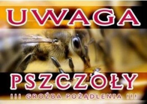 Tablica DUŻA XXL ostrzegawcza UWAGA pszczoły F305
