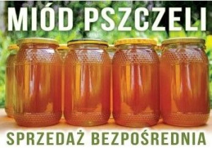 Tablica DUŻA XL reklamowa Miód z własnej pasieki F232