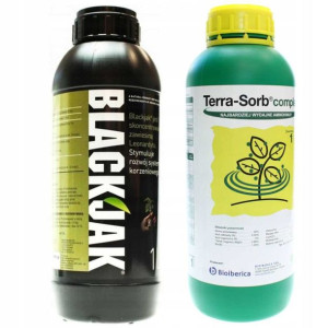 Zestaw nawóz Terra Sorb Complex 1l + BlackJak 1l