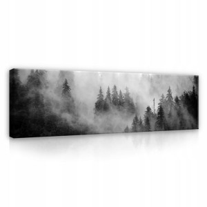 Obraz na płótnie LAS WE MGLE CZARNO BIAŁY 145x45