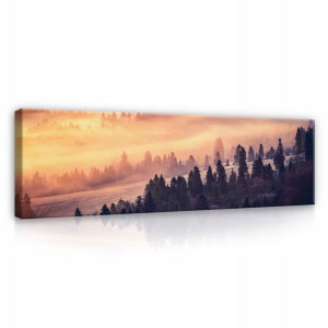 Obraz na płótnie LAS WE MGLE drzewa DUŻY 3D 145x45