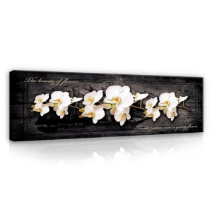 Obraz na płótnie ORCHIDEA Kwiaty Sypialnia 145x45