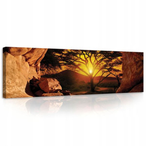 Obraz SAFARI Natura 3D Do Salonu Drzewo 145x45