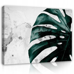 Obraz Kwiaty Liść Monstera Sypialnia Duży 100x70