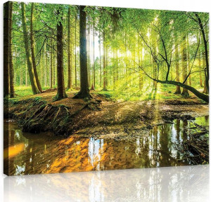 Obraz LAS drzewa krajobraz do salonu 3D 100x70