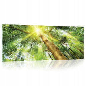 Obraz na szkle szklany LAS DRZEWA natura 3D 125x50
