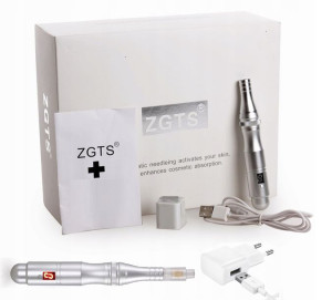 Dermapen ZGTS Mezoterapia Bezprzewodowa Kartridże