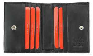 Pierre Cardin TILAK39 8869