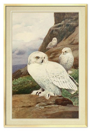  Obraz do wnętrz w stylu kolonialnym 63x93cm
