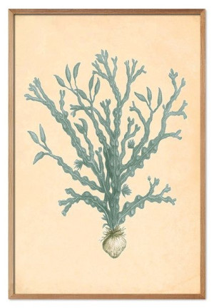  Obraz z roślinami 63x93cm