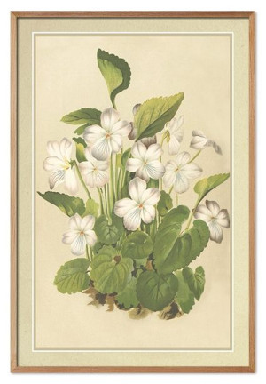  Obraz do wnętrz w stylu kolonialnym 63x93cm