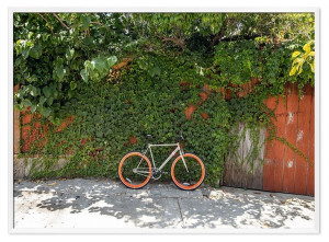 Obraz w stylu sportowym 53x73cm