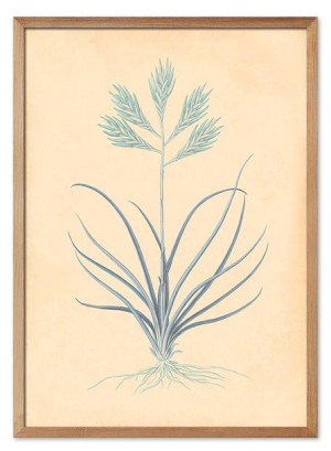  Obraz z roślinami 53x73cm