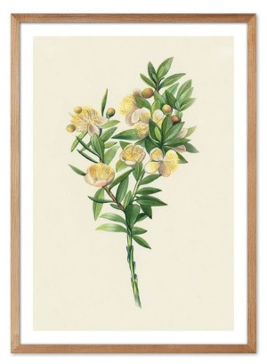  Obraz z roślinami 53x73cm