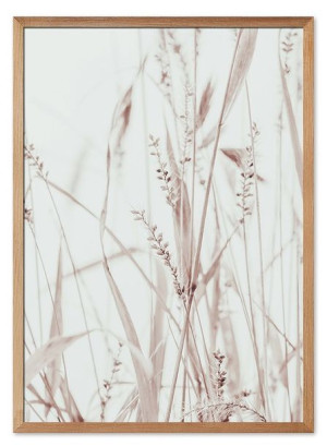  Obraz z roślinami 53x73cm