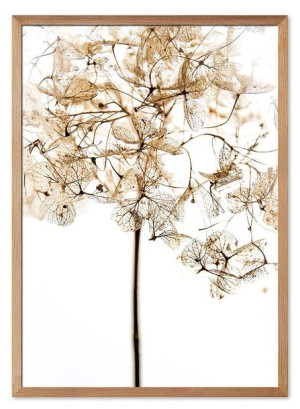  Obraz z roślinami 53x73cm