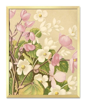  Obraz z roślinami 43x53cm