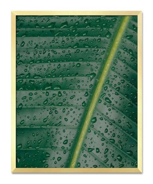  Obraz z roślinami 43x53cm
