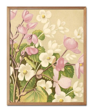  Obraz z roślinami 43x53cm