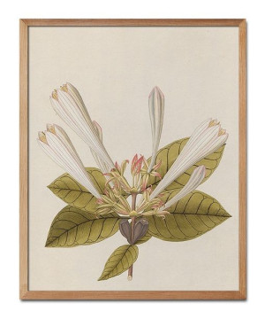  Obraz z roślinami 43x53cm