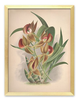 Obraz do wnętrz w stylu kolonialnym 33x43cm