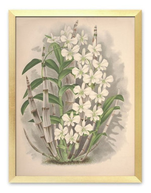  Obraz do wnętrz w stylu kolonialnym 33x43cm
