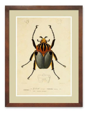  Obraz do wnętrz w stylu kolonialnym 33x43cm