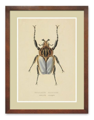  Obraz do wnętrz w stylu kolonialnym 33x43cm