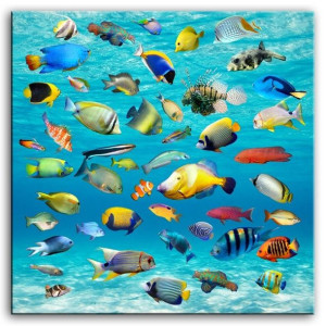  Obraz do wnętrz w stylu Wild Nature 100x100cm