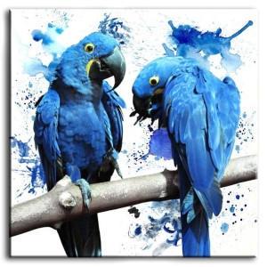  Obraz do wnętrz w stylu Wild Nature 100x100cm