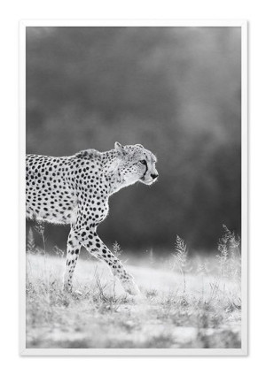  Obraz do wnętrz w stylu Wild Nature 63x93cm