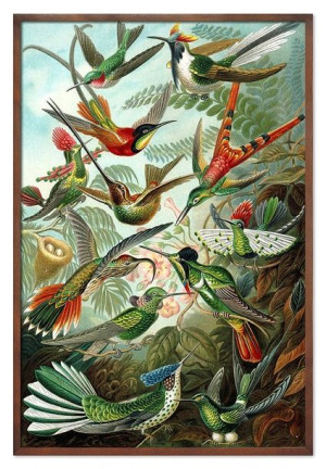  Obraz do wnętrz w stylu Wild Nature 63x93cm