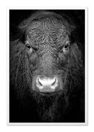  Obraz do wnętrz w stylu Wild Nature 63x93cm