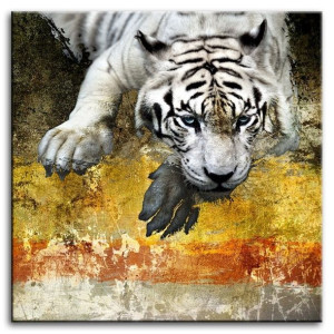  Obraz do wnętrz w stylu Wild Nature 80x80 cm