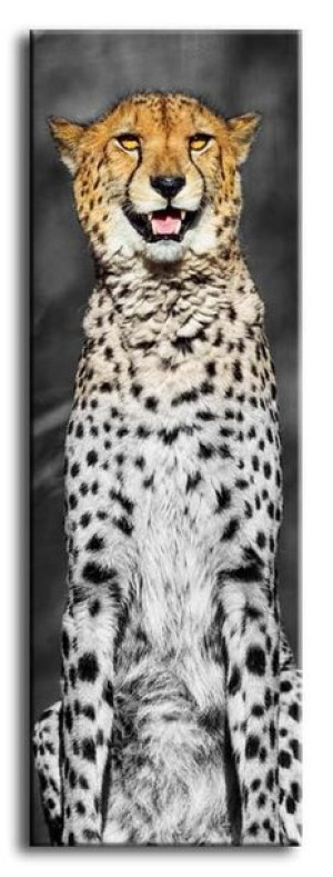  Obraz do wnętrz w stylu Wild Nature 150x50 cm