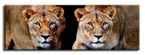  Obraz do wnętrz w stylu Wild Nature 150x50 cm