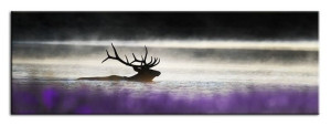  Obraz do wnętrz w stylu Wild Nature 150x50 cm