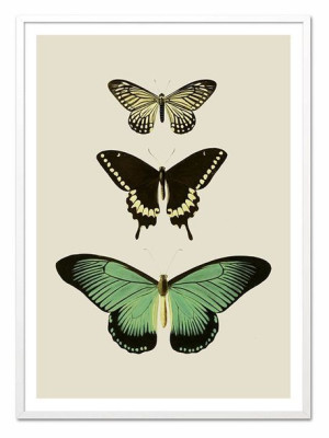  Obraz do wnętrz w stylu Wild Nature 53x73cm