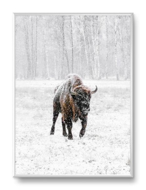  Obraz do wnętrz w stylu Wild Nature 31x41cm