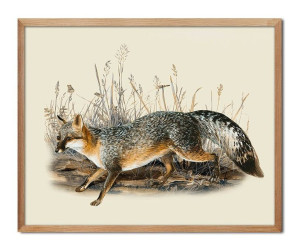  Obraz do wnętrz w stylu Wild Nature 43x53cm