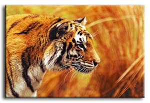  Obraz do wnętrz w stylu Wild Nature 60x90 cm