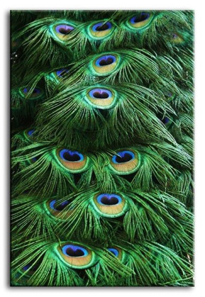  Obraz do wnętrz w stylu Wild Nature 60x90 cm