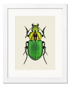  Obraz do wnętrz w stylu Wild Nature 23x28cm